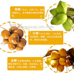 春光食品 海南特產(chǎn) 休閑零食 新鮮椰子奶夾心 椰香酥卷238g 盒裝